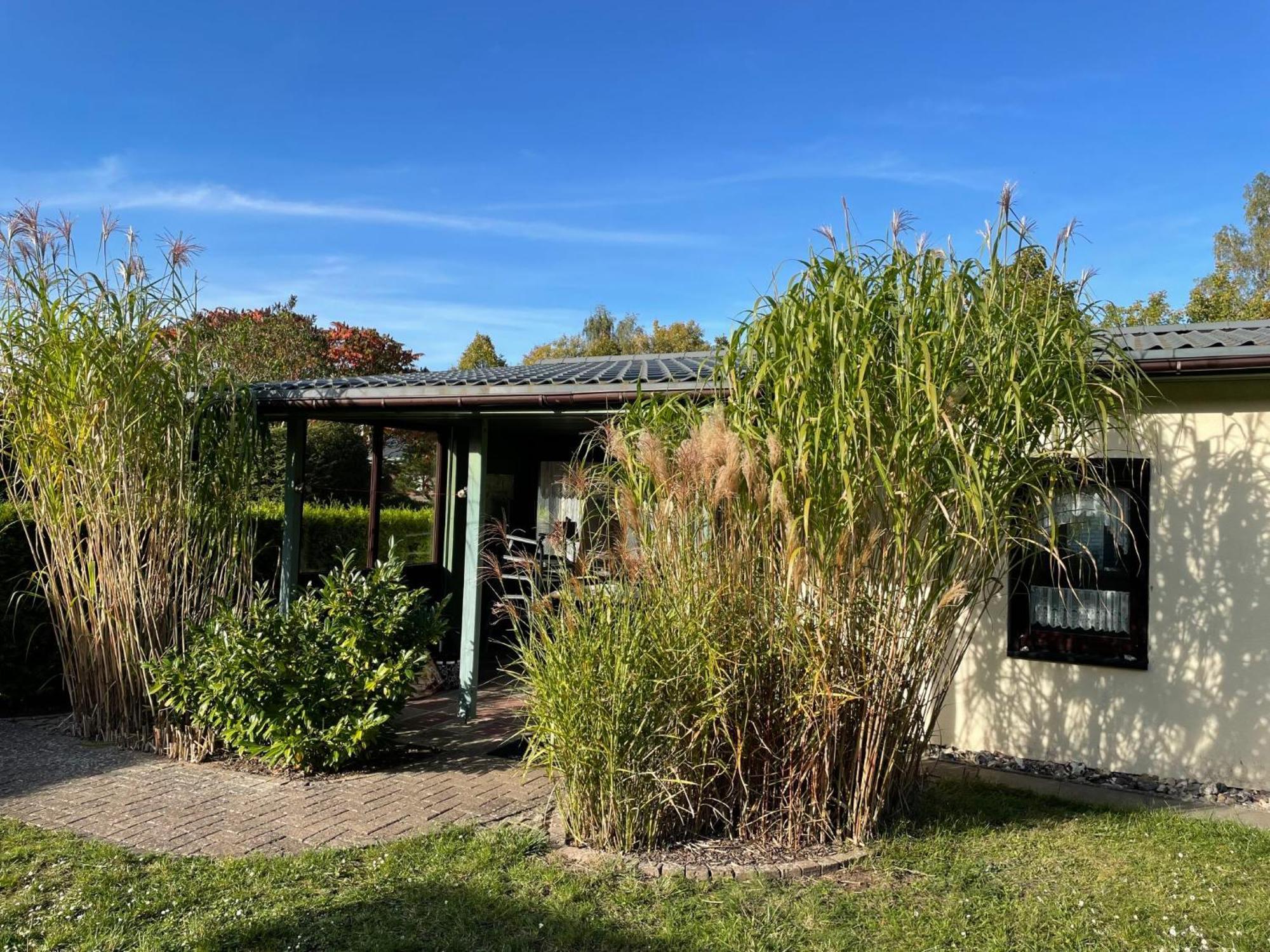 Holiday Home Am Walde-1 By Interhome Dobbertin Luaran gambar